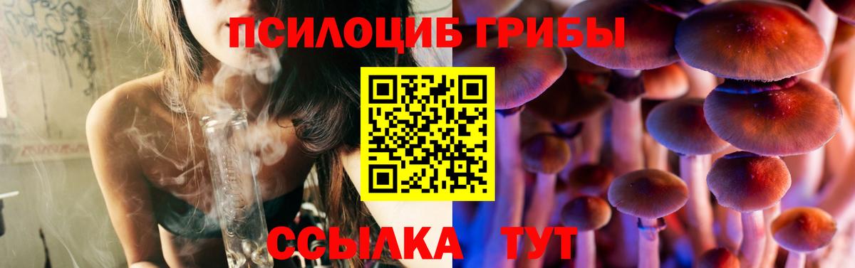 Галлюциногенные грибы Psilocybe  Вход с VPN  Галлюциногенные грибы мицелий  Троицк 